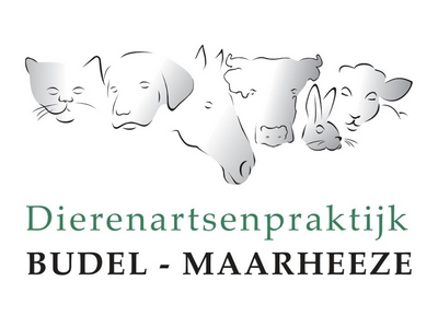 dap budel-maarheeze